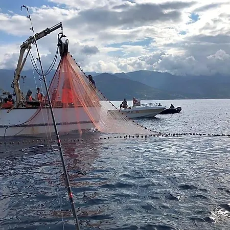 Oda ve Kahvaltı La Mia Valigia San Lucido